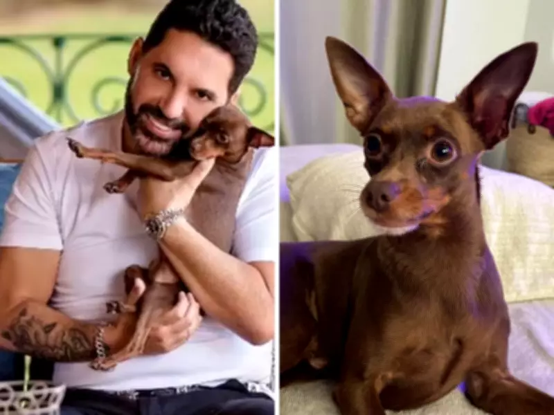 Cachorro Kiko, do cantor Edson, é encontrado morto após uma semana