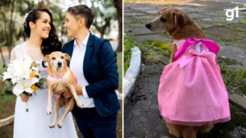 Cadelinha resgatada de maus-tratos entrega alianças em casamento de tutoras em Guaíba