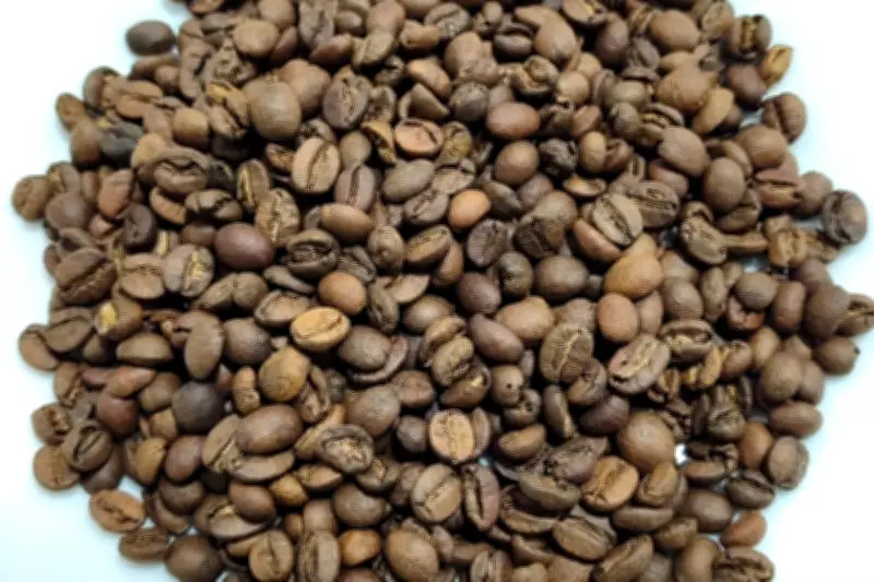 Café: do ritual matinal à gastronomia, bebida inspira receitas e molda história no Oeste Paulista