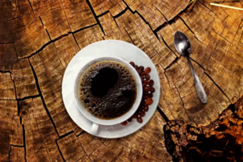 Café moído tem alta de 0,54% em 12 meses; safra recorde pode aliviar preços apenas em 2026