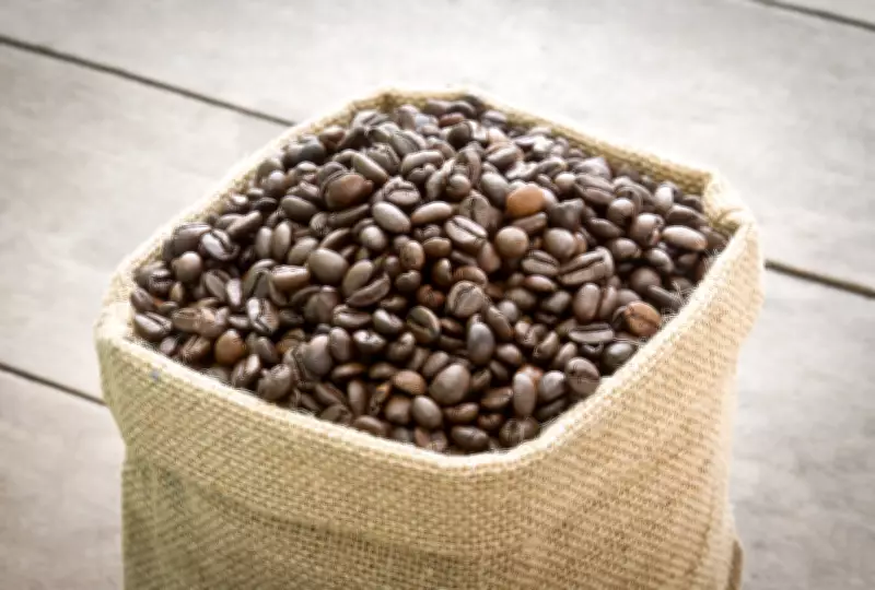 Café regenerativo remove até 100 kg de carbono por saca em Minas Gerais