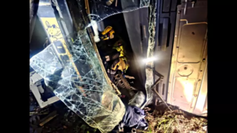 Caminhão com bois capota na BR-381 e deixa dois feridos em João Monlevade