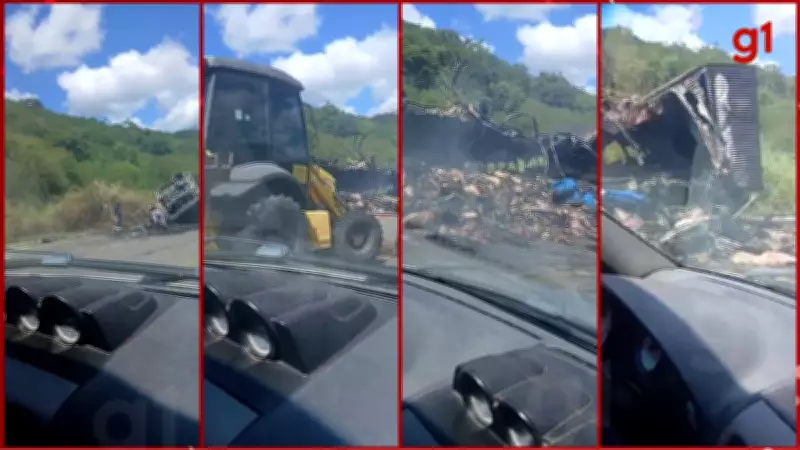 Caminhão com carga de suínos pega fogo na BR-116 em Itaobim