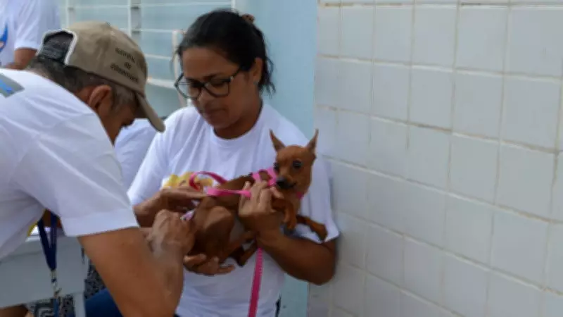 Campanha de vacinação contra raiva atinge zonas rurais Sul e Sudeste de Teresina neste sábado