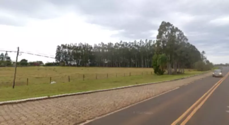 Capivara é atropelada por caminhão na SP-245 em Cerqueira César