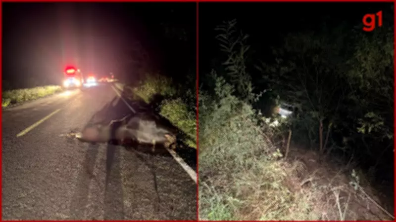Carro bate em animal, cai em ribanceira de 20 metros e deixa dois feridos em Araçuaí