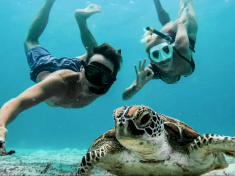 Casal de influenciadores nômades se 'aposenta' e fixa moradia no RS