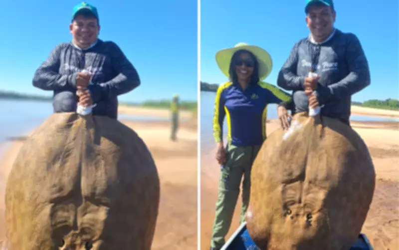 Casal pesca arraia gigante no Rio Araguaia ao tentar fisgar piraíba proibida