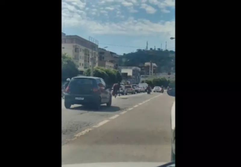 Cavalo solto em avenida movimentada de Itaperuna gera apreensão entre motoristas