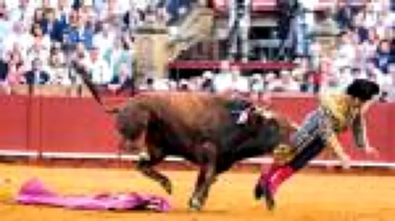 Chifrada em toureiro reacende debate sobre a crueldade das touradas na Espanha