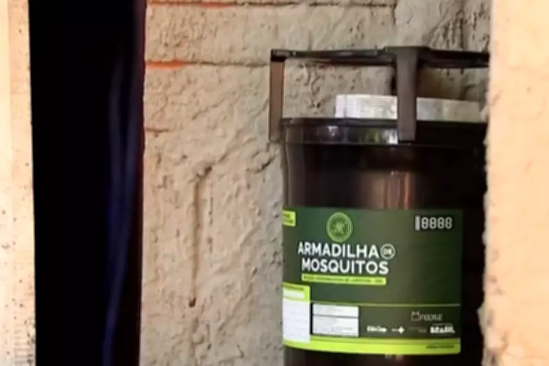 Chikungunya avança rapidamente em Mato Grosso do Sul com mais de 1,7 mil casos confirmados