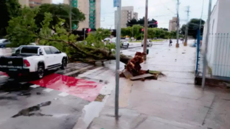 Chuva de granizo causa alagamentos e queda de árvores em São José dos Campos