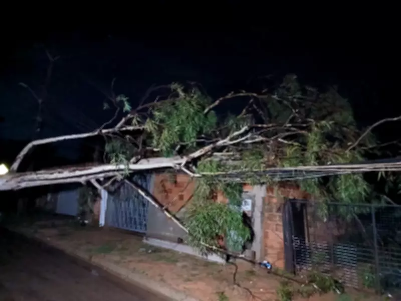 Chuva intensa em Palmas derruba árvores, causa queda de energia e danifica shopping
