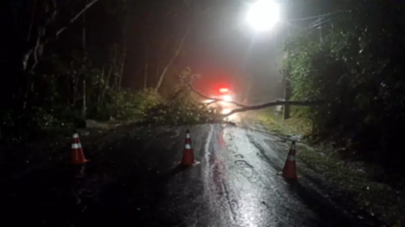 Chuvas intensas causam alagamentos e deslizamentos em cidades de Santa Catarina
