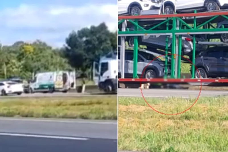 Ciclista perde a vida após atropelamento fatal na Rodovia Régis Bittencourt em Registro