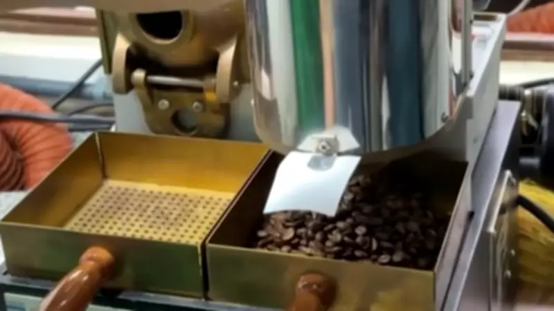 Cientistas brasileiros buscam criar café mais forte com genes de espécies raras