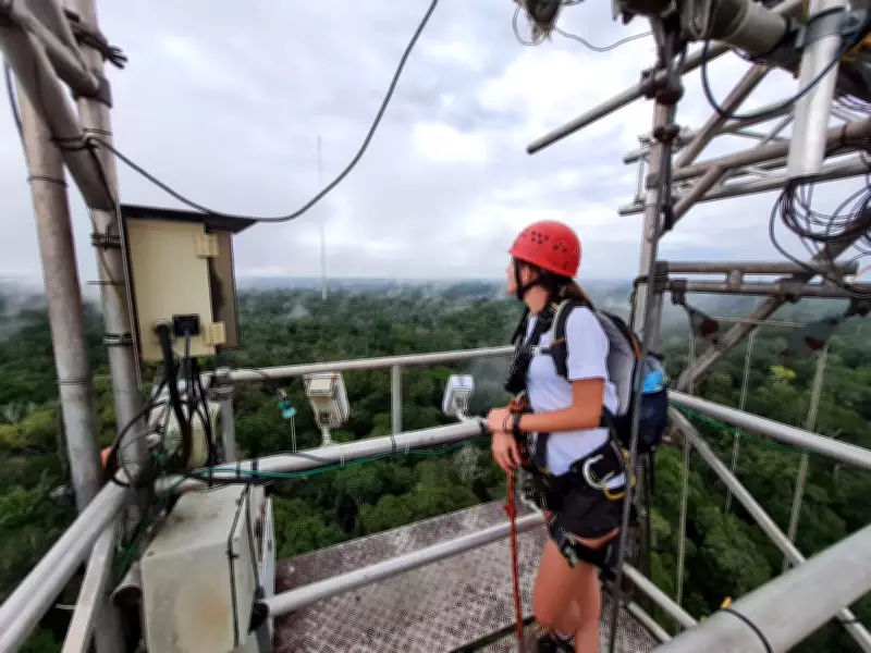 Cientistas revelam que nevoeiro atua como "elevador invisível" para microrganismos na Amazônia
