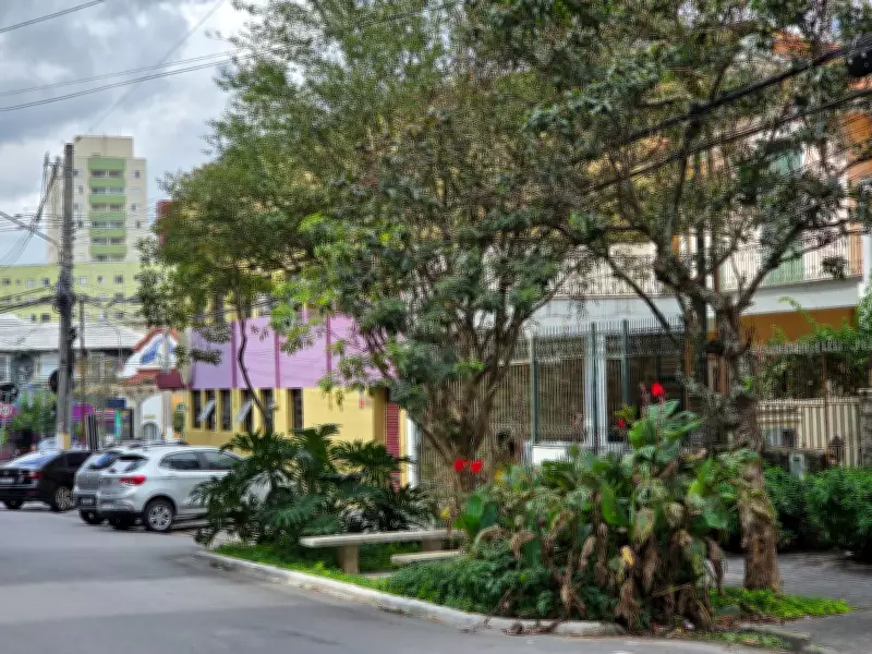 Câmara de SP aprova vagas verdes: árvores em ruas substituem estacionamento