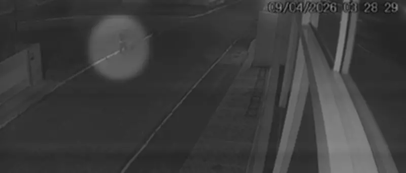 Câmera flagra criminoso fugindo após latrocínio que matou casal de idosos em SC