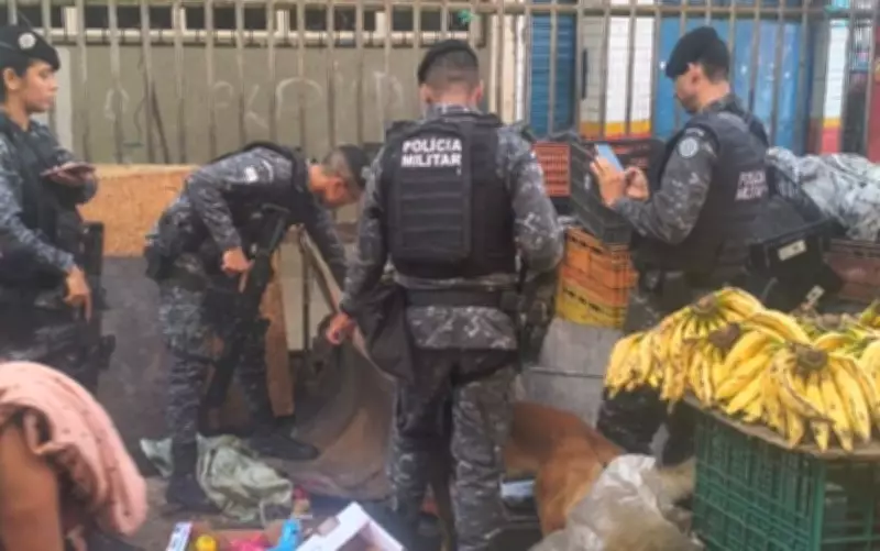 Cão farejador encontra drogas escondidas em barraca de frutas em Salvador