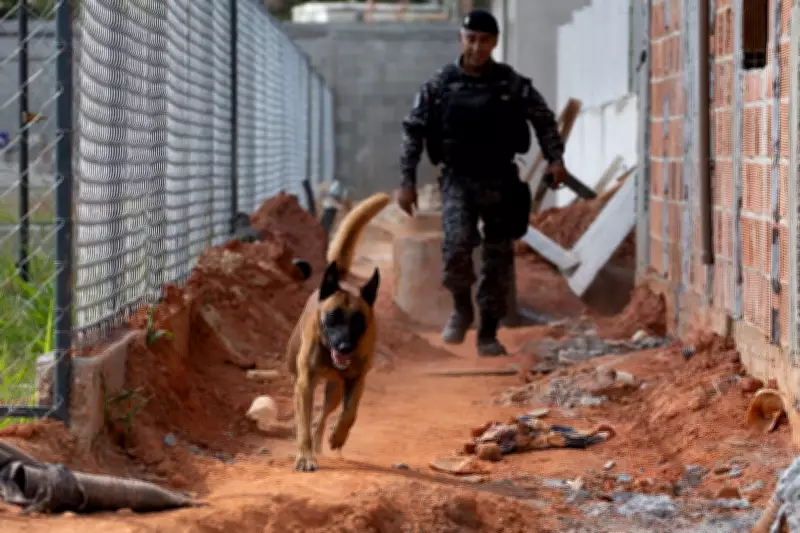 Cão Hulk, herói da apreensão de 48 toneladas de drogas, visita obras de novo batalhão da PM no RJ