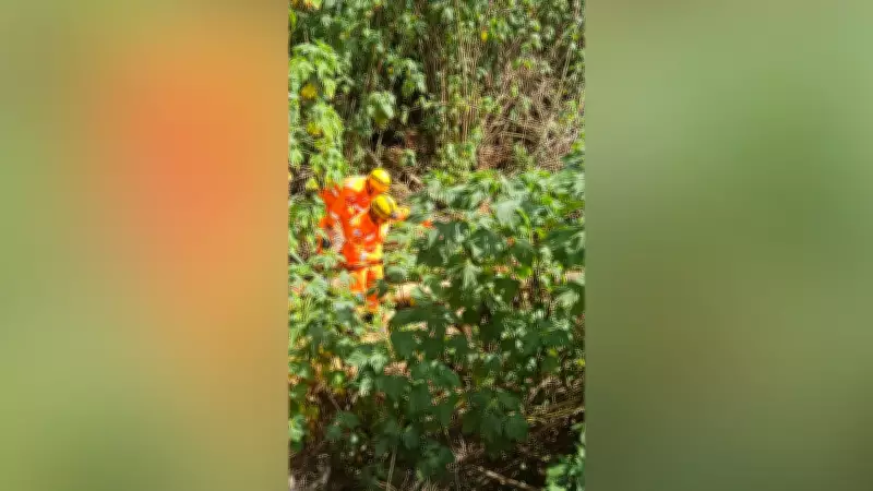 Cão idoso, cego e surdo cai em buraco de 3 metros e é resgatado em Araxá