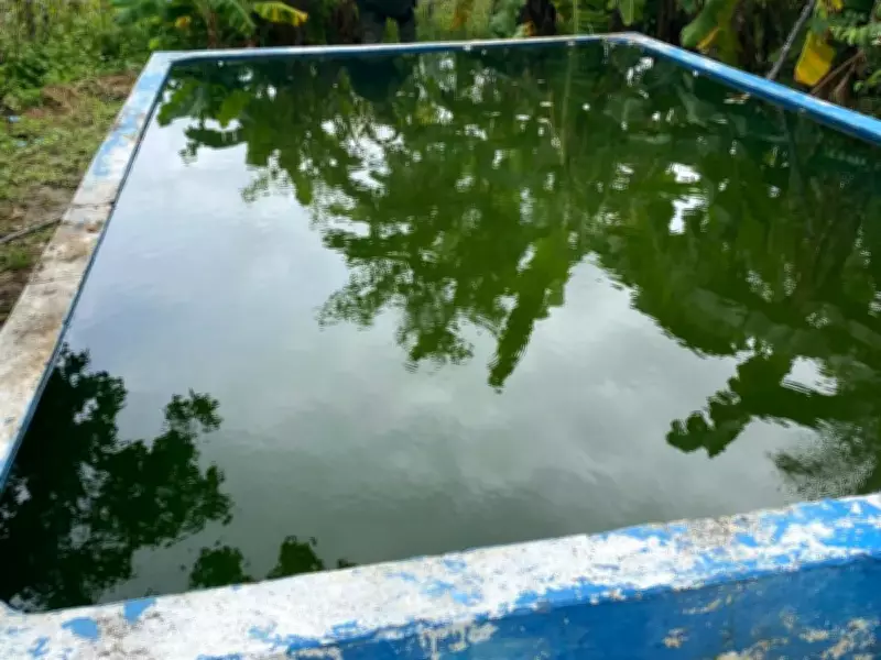 Compesa recupera água para 5 mil pessoas diariamente em Serra Talhada após ação contra ligações clandestinas