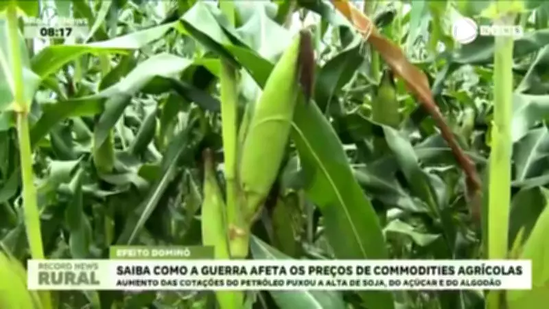 Conflito no Oriente Médio eleva preços de commodities agrícolas no Brasil