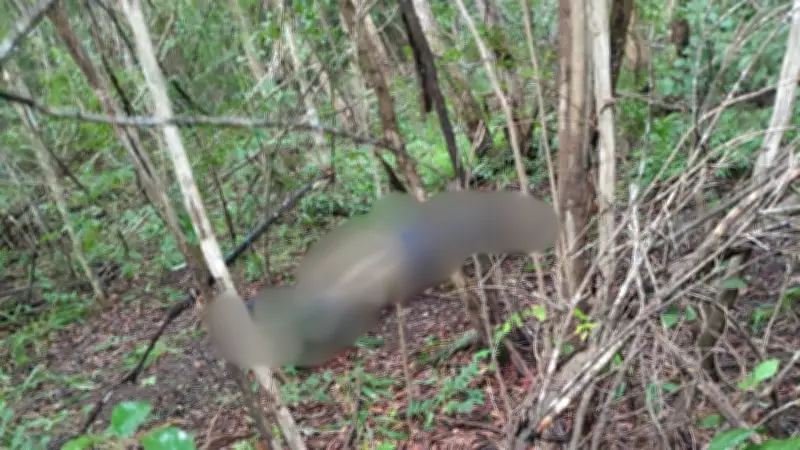 Corpo de homem desaparecido é encontrado em mata no interior do Piauí