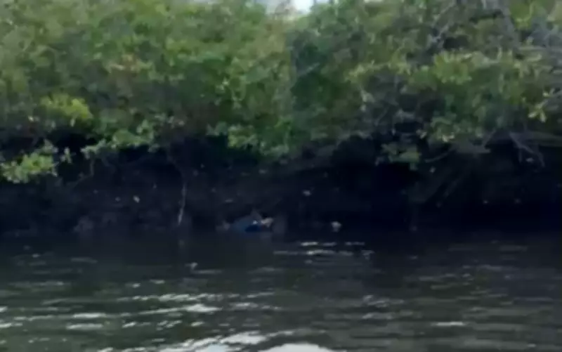 Corpo de homem é encontrado dentro de saco em manguezal de Laranjeiras, Sergipe