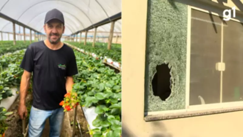 Corregedoria da BM conclui que policiais não cometeram crimes militares na morte de agricultor no RS