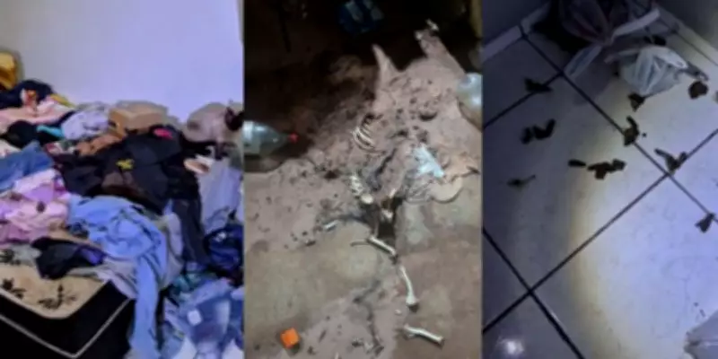 Criança de 3 anos é resgatada em situação de abandono e maus-tratos em Assis, SP