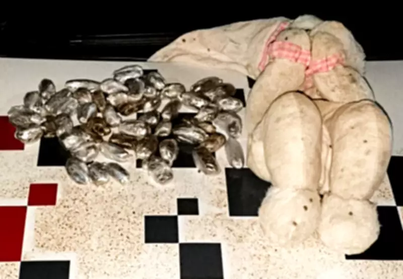 Crianças acham urso de pelúcia com maconha em Dracena; polícia apreende drogas