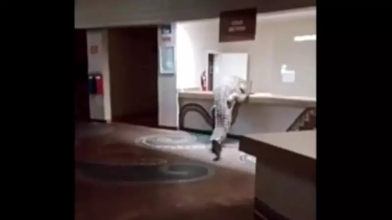 Crocodilo do Nilo invade recepção de hotel no Zimbábue em busca de comida
