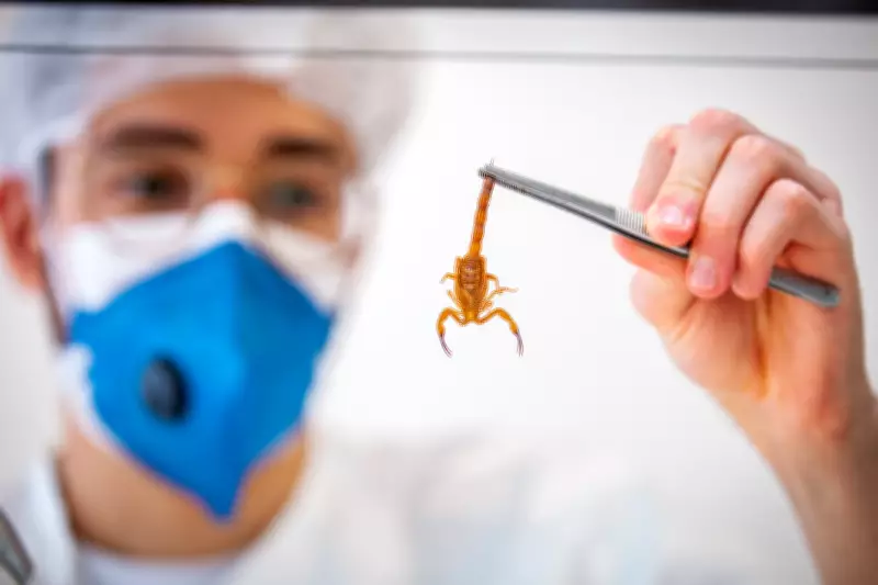 Curso capacita para atendimento a vítimas de picadas de animais peçonhentos