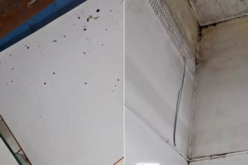 Denúncias apontam fezes de morcegos e falta de higiene em escola de Registro