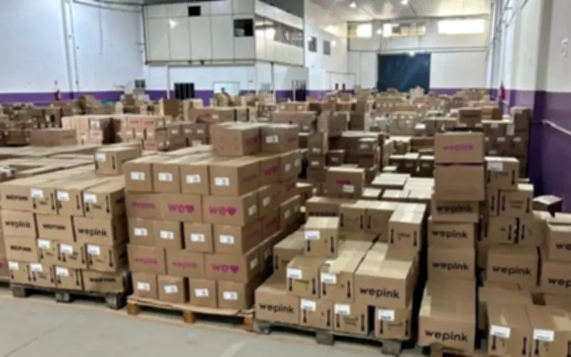 Depósito da WePink de Virginia Fonseca é interditado em Anápolis por irregularidades sanitárias