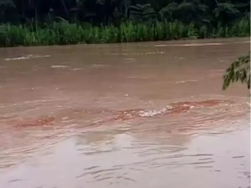Derramamento de 15 mil litros de óleo diesel atinge rio no interior do Acre