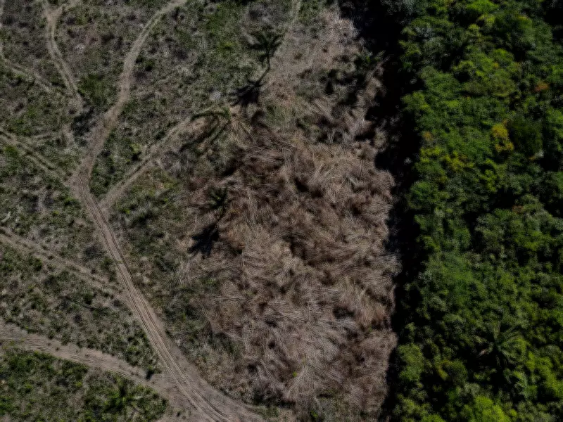 Desmatamento na Amazônia cai 17% no 1º trimestre de 2026, mas março preocupa