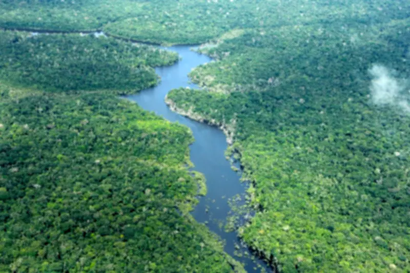 Desmatamento no Amazonas cai 30,1% no primeiro trimestre de 2026, diz Inpe