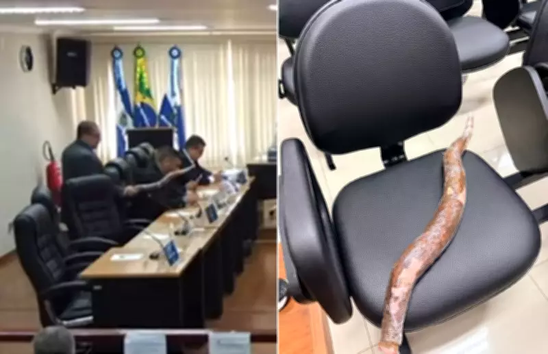 Discussão na Câmara de Cachoeiras de Macacu termina com mandioca no plenário e viraliza