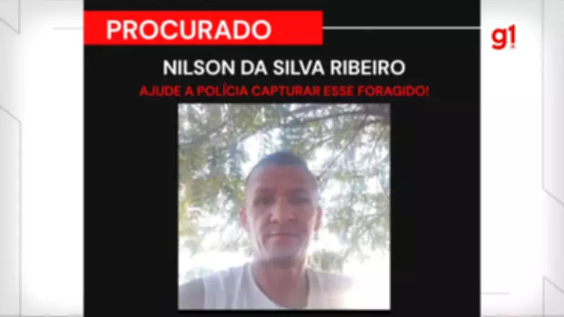 Disputa por novilha leva a tentativa de homicídio no Piauí; polícia procura suspeito