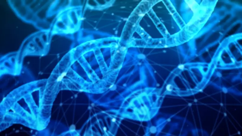 DNA do solo guia cultivo de café no Sul de Minas com análise metagenômica