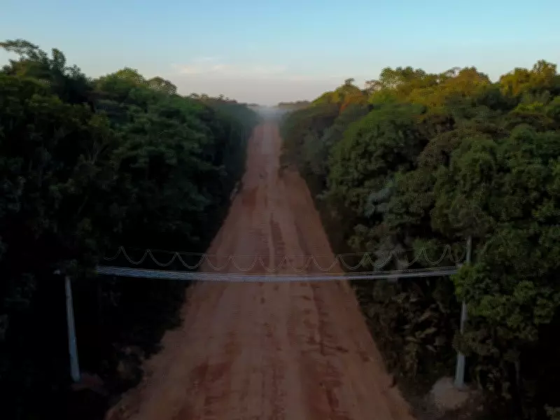 DNIT publica editais para obras na BR-319 e Justiça suspende licitações por 70 dias