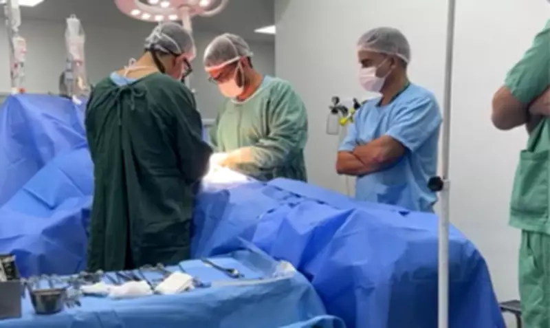 Doação de órgãos em Goiânia: gesto materno salva vidas e reduz fila de transplantes