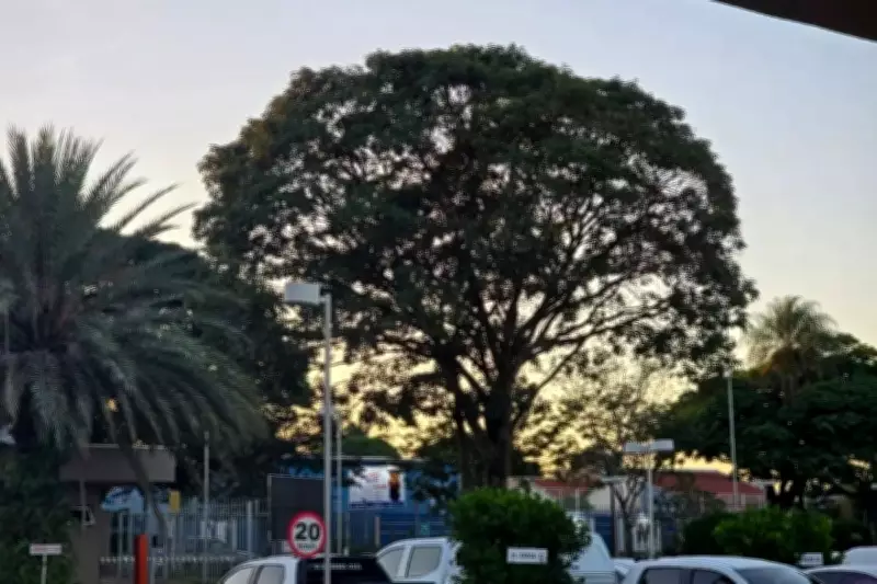 Domingo de calor intenso em Mato Grosso do Sul com temperaturas que podem chegar a 34°C