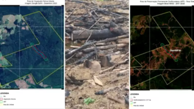 Dono de propriedade rural no PR é multado em R$ 90 mil por desmatamento ilegal de 2,57 hectares