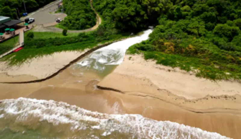 Drone revela poluição crítica no mangue de Fernando de Noronha, alertam pesquisadores