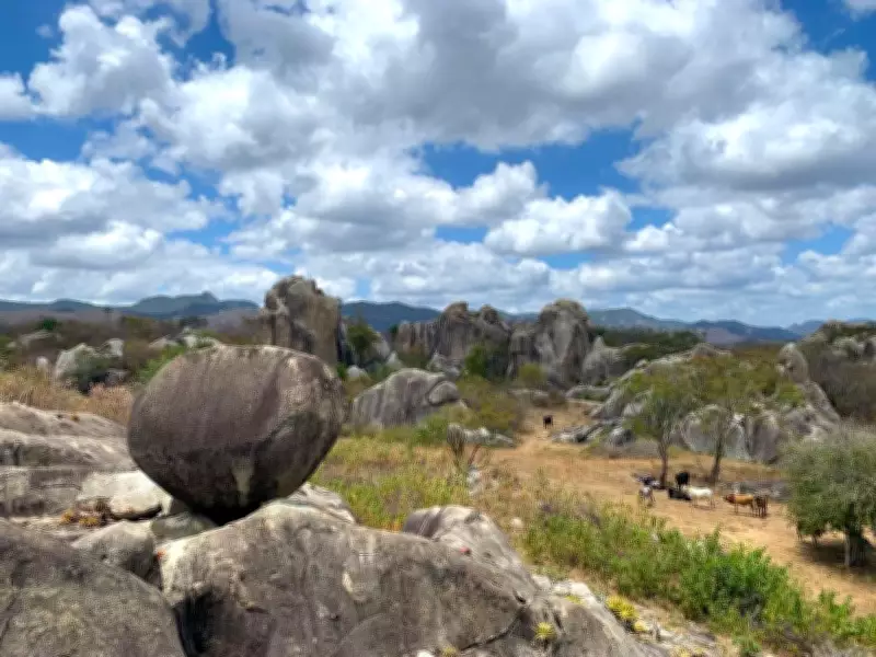 E-book gratuito ensina soluções baseadas na natureza para recuperar a Caatinga