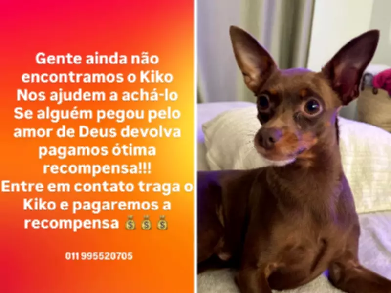 Edson, da dupla com Hudson, oferece recompensa por cachorro desaparecido em Indaiatuba